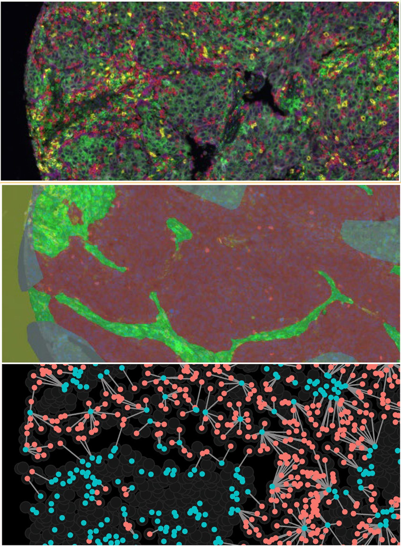 Multidimensional tissue analysis
